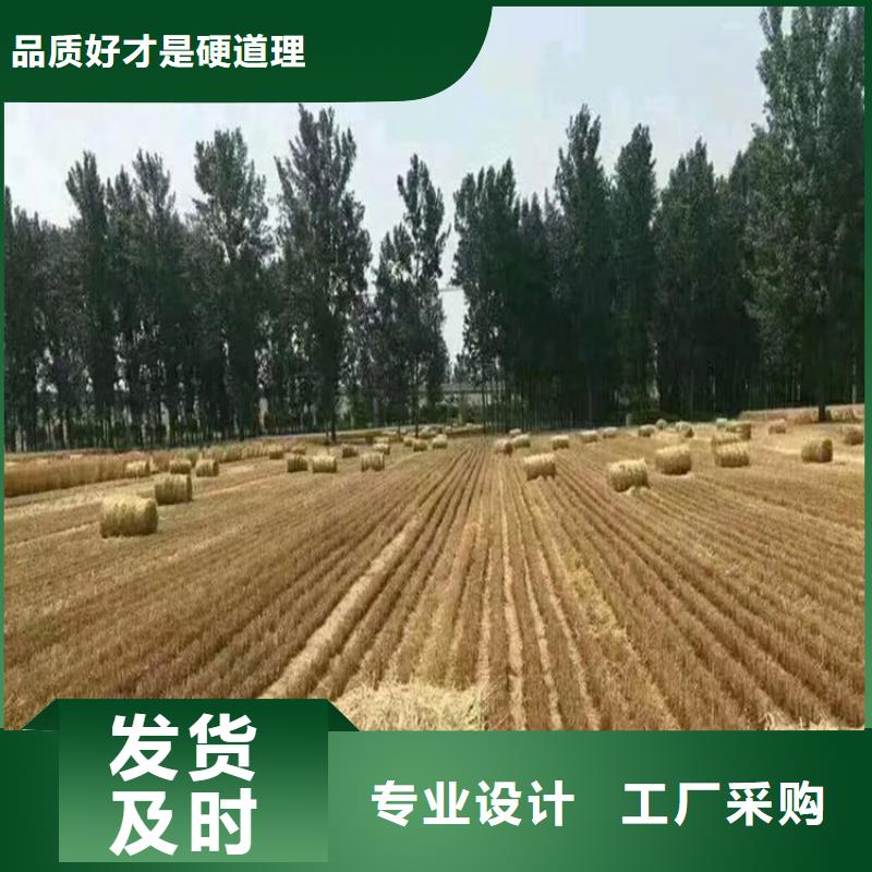 【打捆机,杜高犬重信誉厂家】