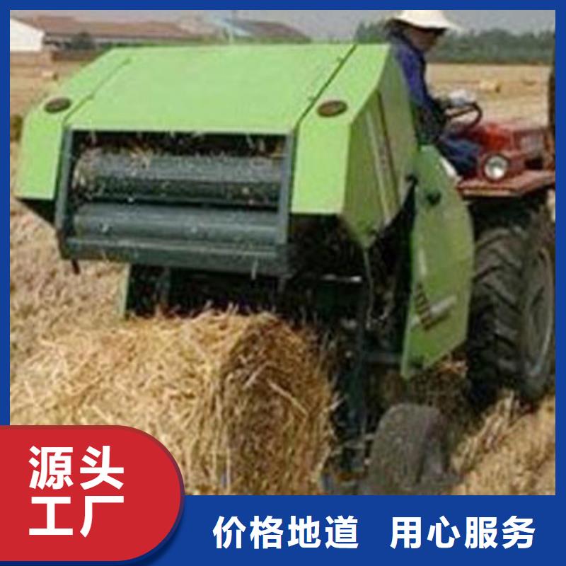 【打捆机_拉布拉多犬多种规格可选】