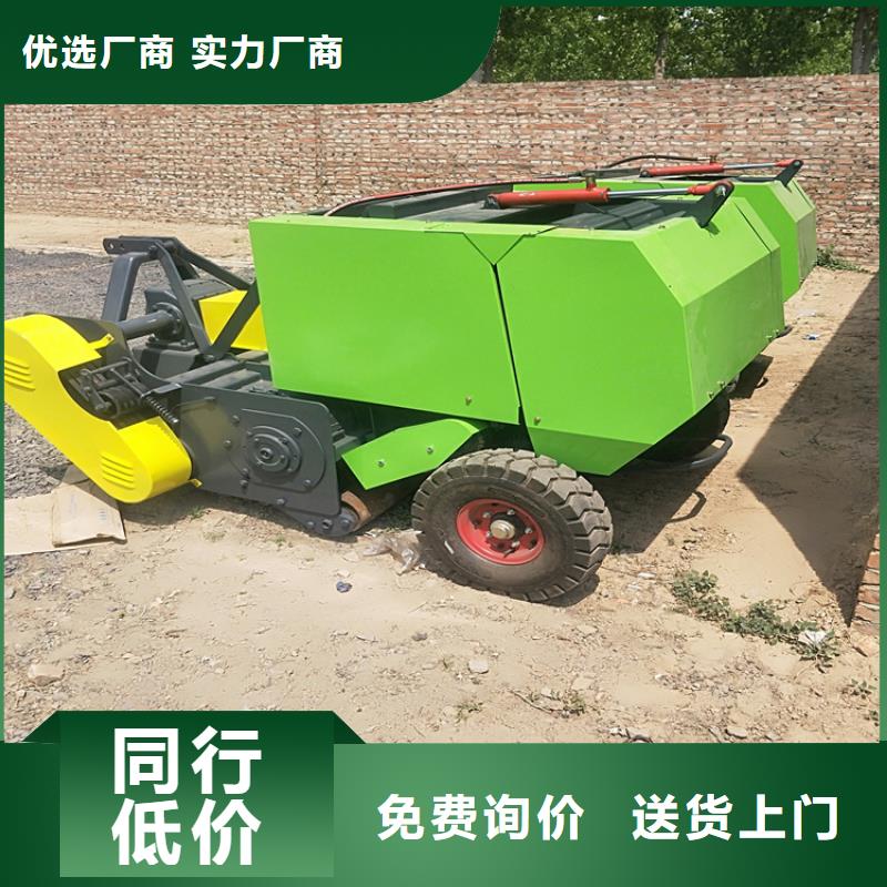 【打捆机】德牧犬分类和特点