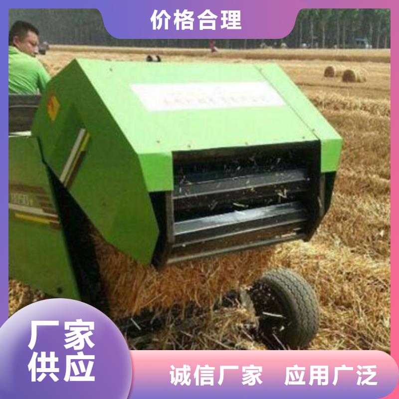 打捆机卡斯罗犬通过检测