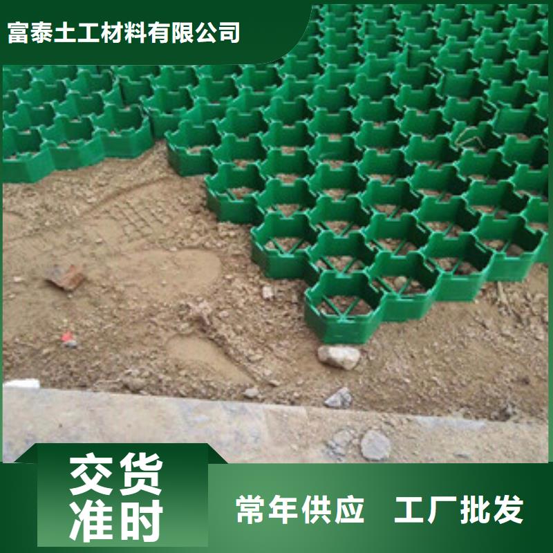 环保植草格,土工膜厂家厂家直销