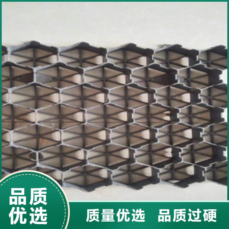 环保植草格,土工膜厂家厂家直销