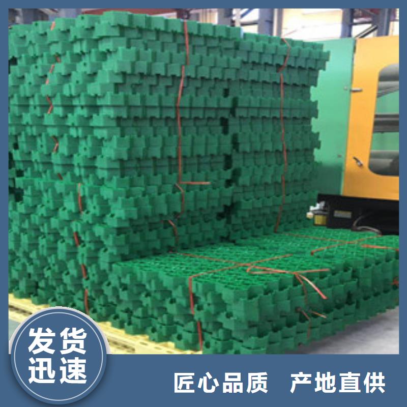 环保植草格,无纺布厂家实力大厂家