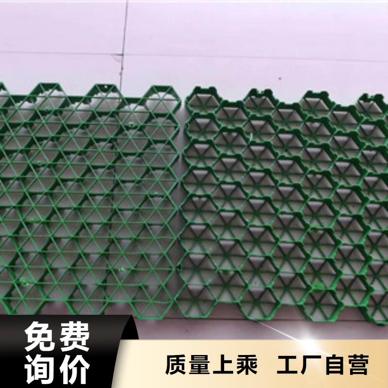 环保植草格,无纺布厂家实力大厂家