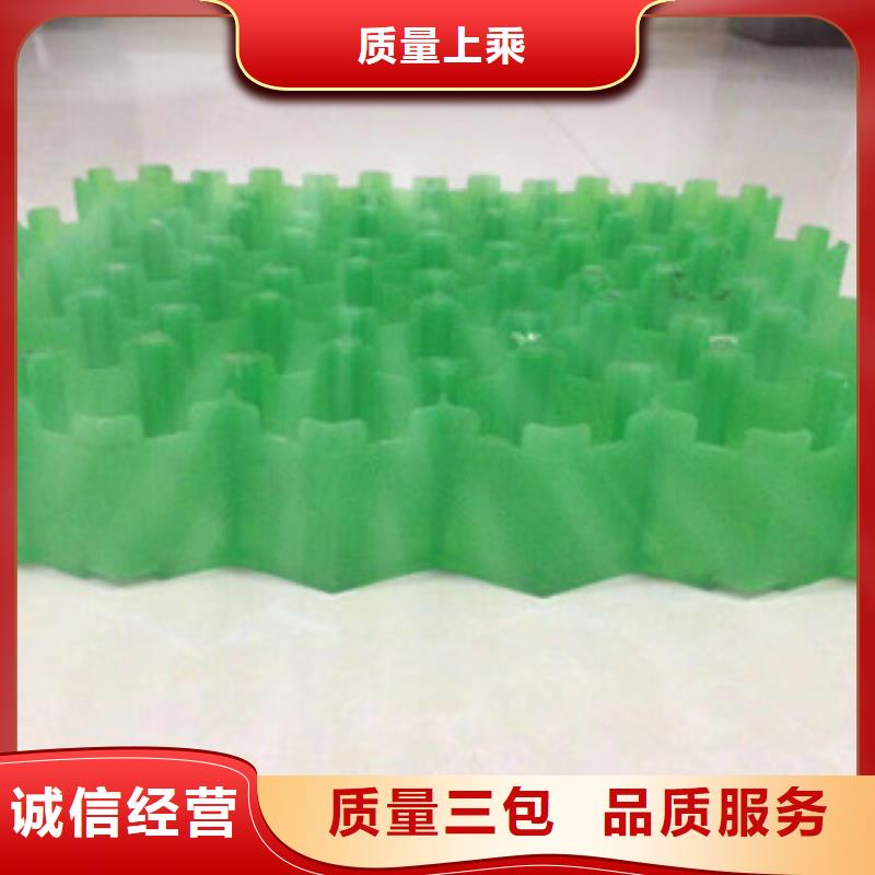 环保植草格,无纺布厂家实力大厂家