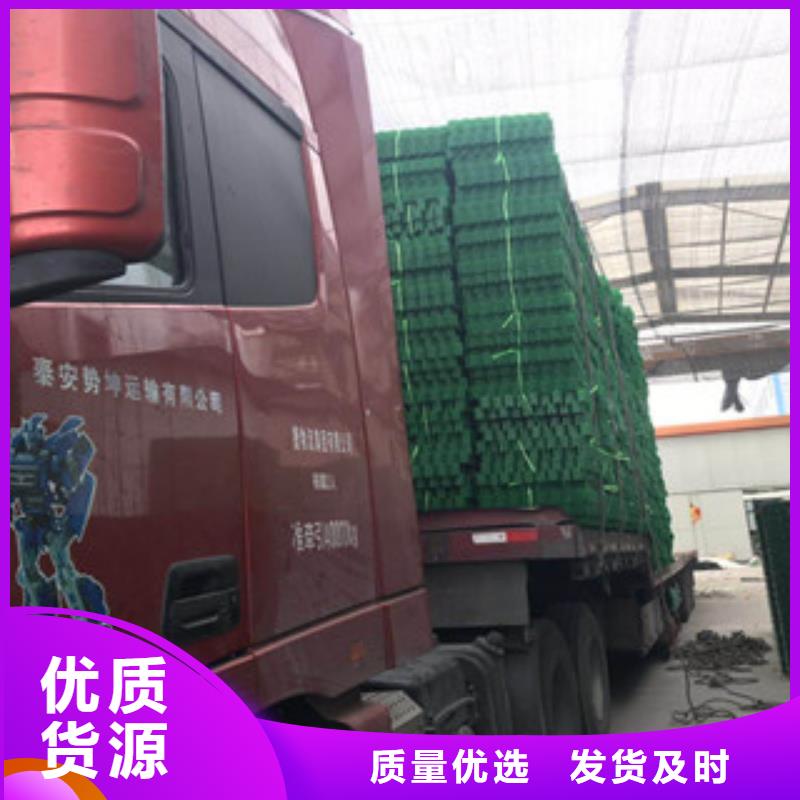 环保植草格,无纺布厂家实力大厂家