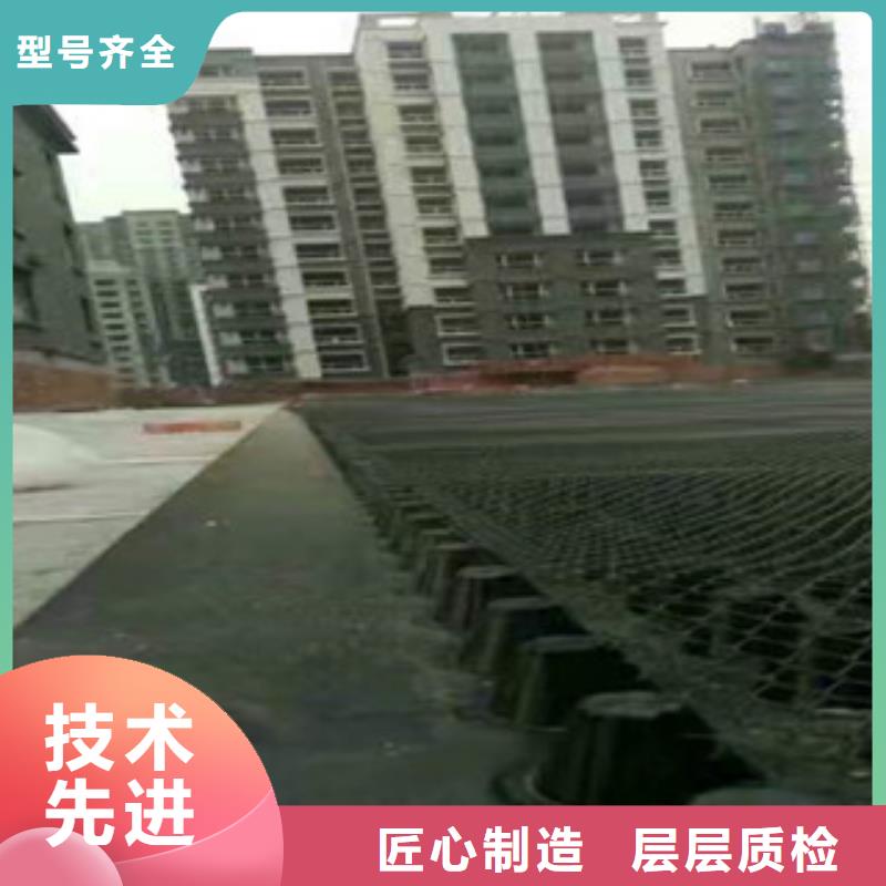 【塑料排水板】植草格厂家诚信厂家