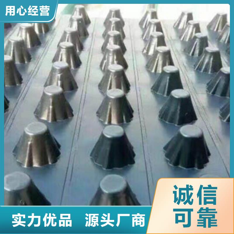 塑料排水板植草格厂家专注生产N年
