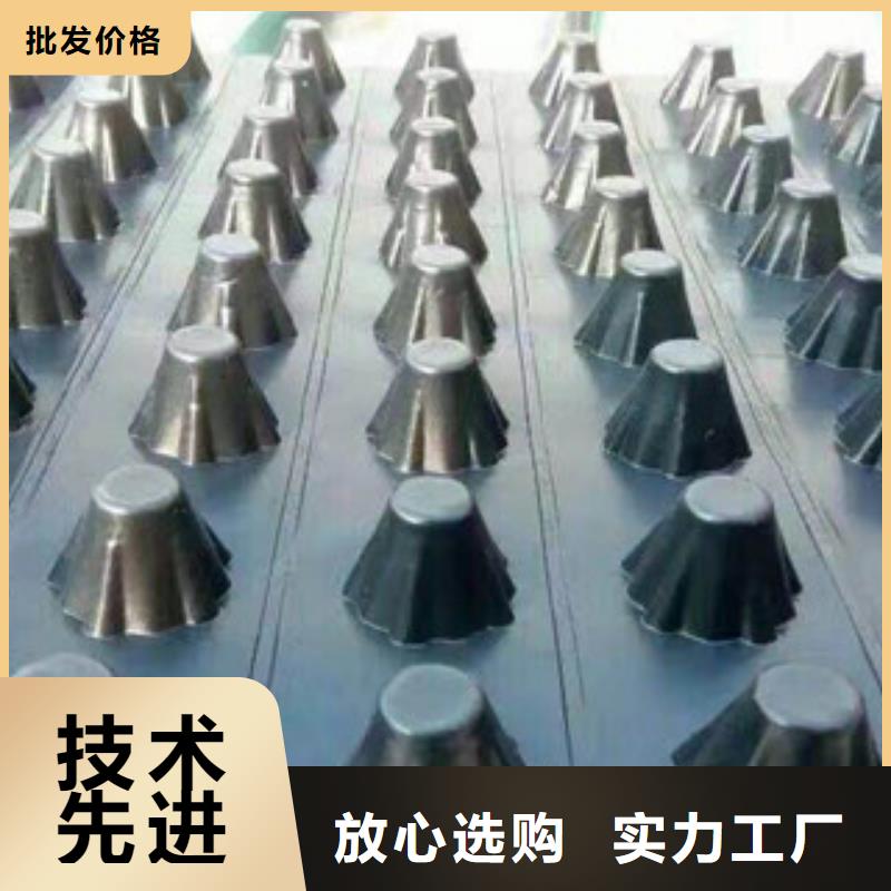塑料排水板土工布厂家货源足质量好