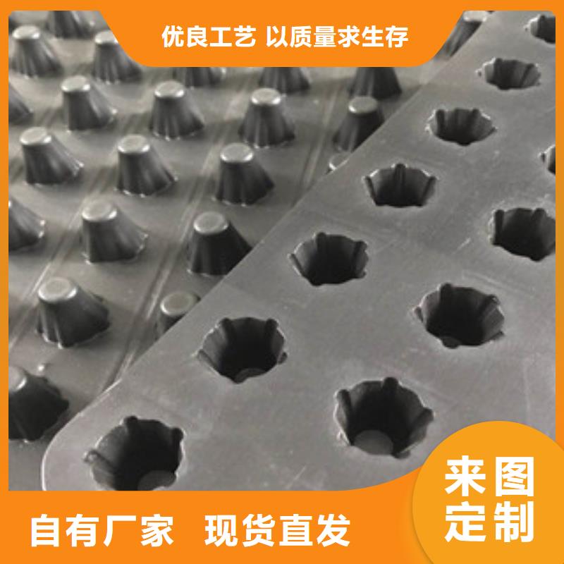 塑料排水板植草格厂家专注生产N年