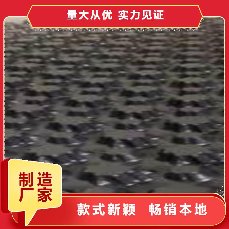 塑料排水板植草格厂家专注生产N年