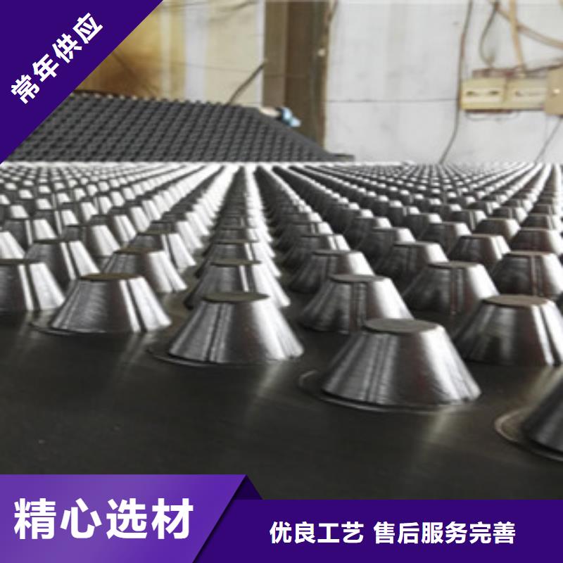 塑料排水板膨润土防水毯厂家用心做产品