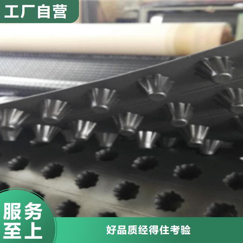 塑料排水板-膨润土防水毯厂家厂家经验丰富