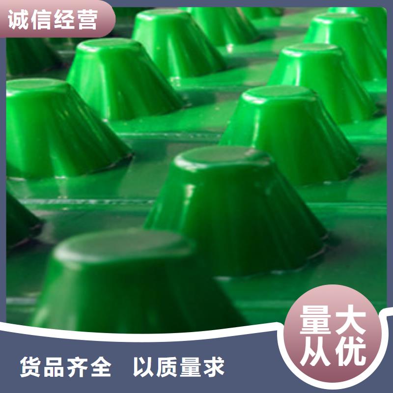 塑料排水板-膨润土防水毯厂家厂家经验丰富