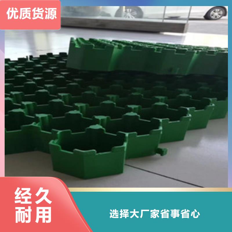 植草格排水板厂家源头厂源头货