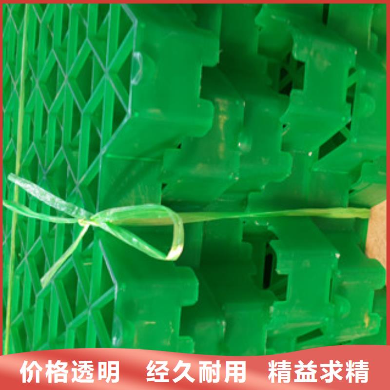 植草格,膨润土防水毯厂家生产经验丰富