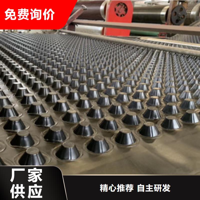 【排水板土工膜厂家质量看得见】