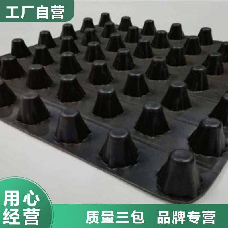 【排水板土工膜厂家质量看得见】