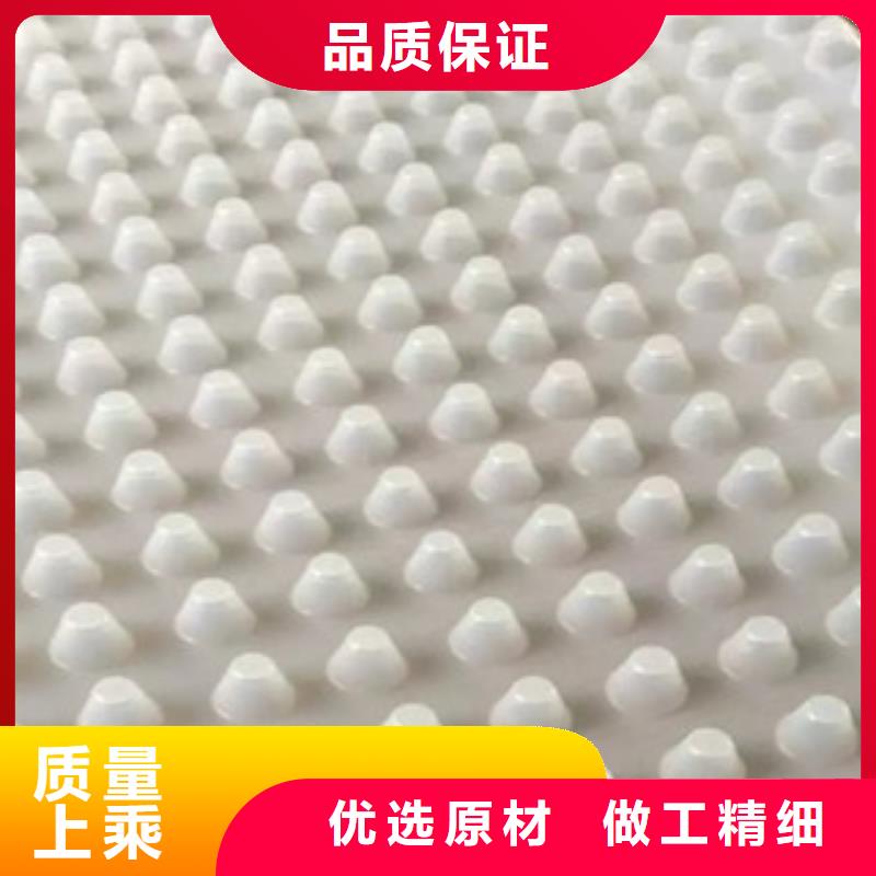 排水板土工膜厂家现货齐全售后无忧