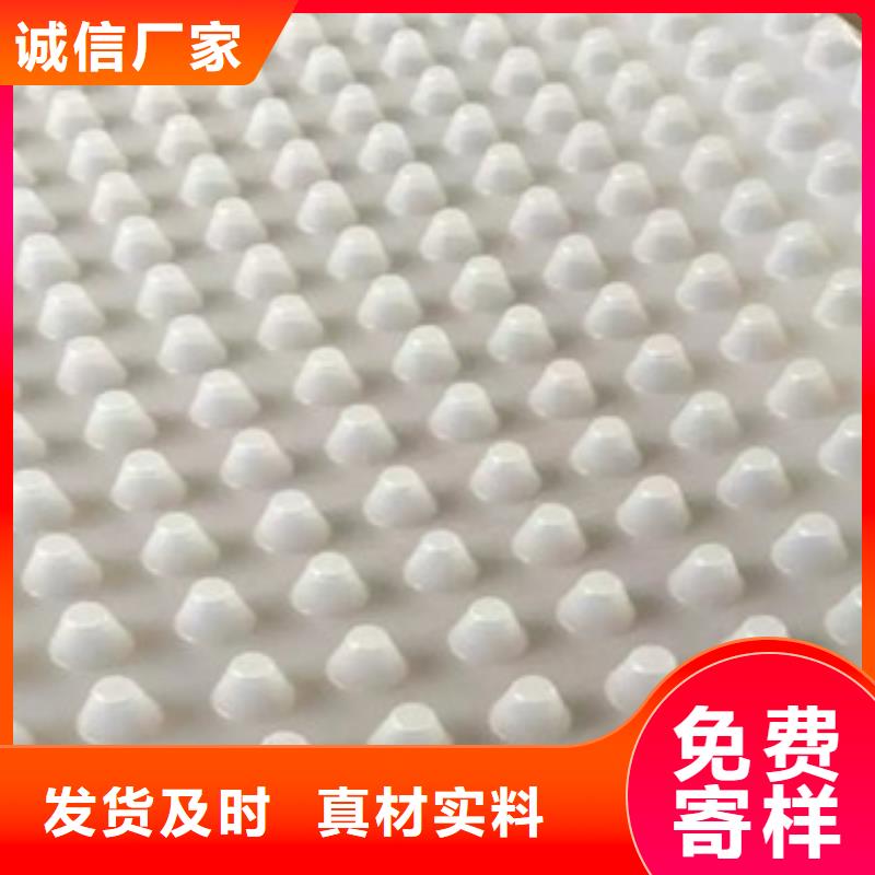 排水板无纺布厂家细节之处更加用心