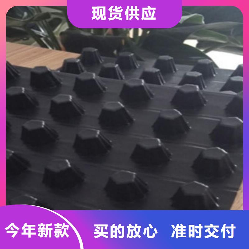 排水板无纺布厂家细节之处更加用心