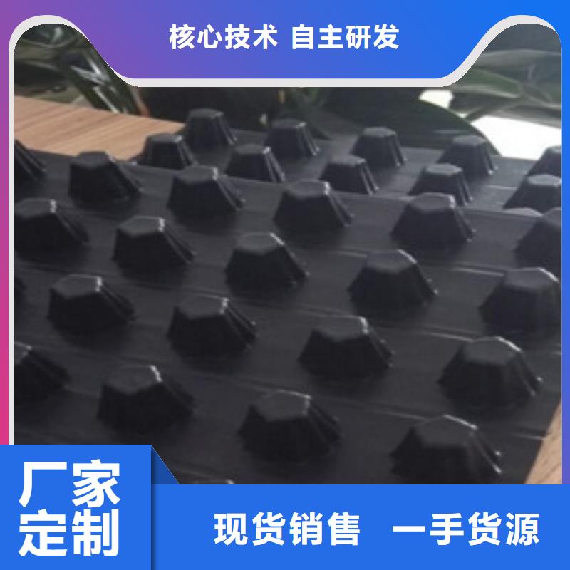 排水板蓄排水板厂家满足您多种采购需求