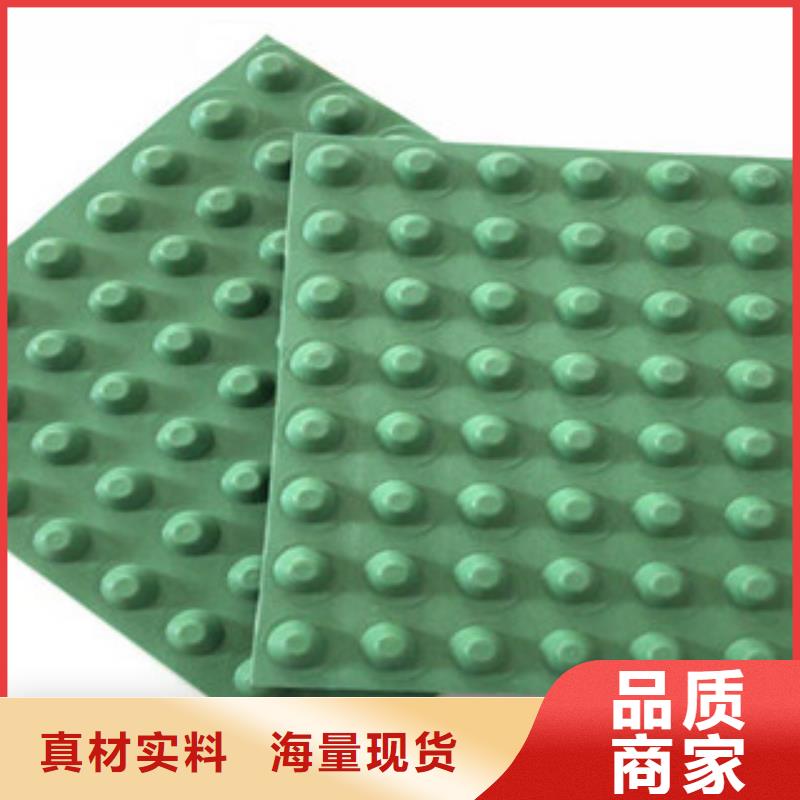 【排水板土工膜厂家质量看得见】