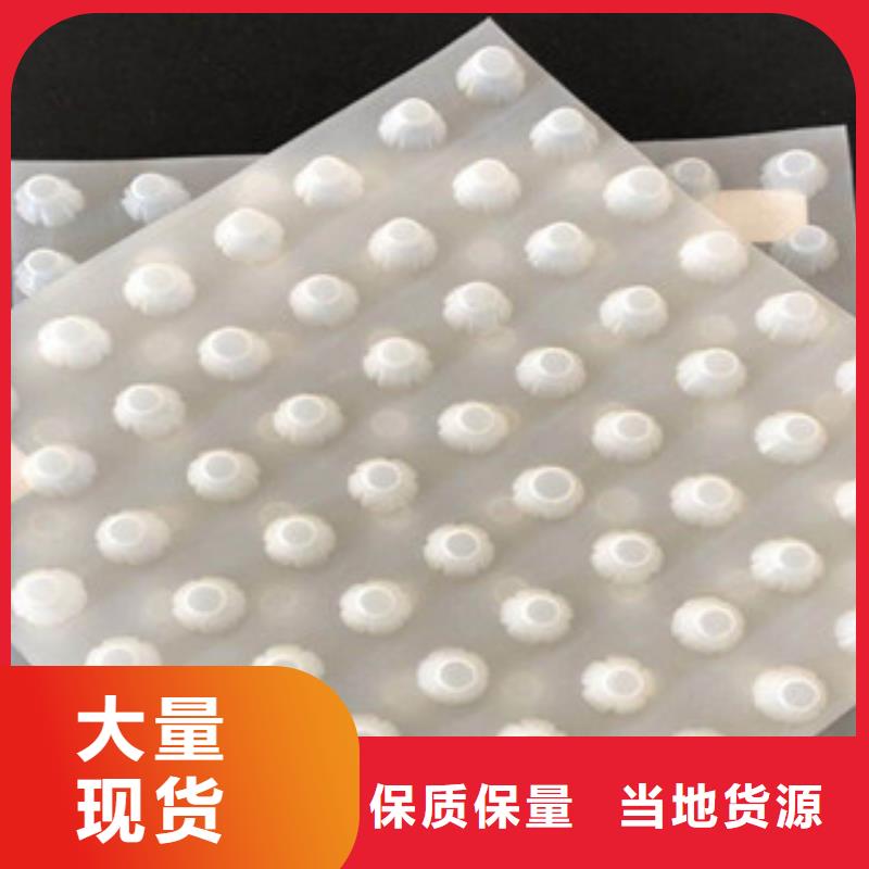 排水板蓄排水板厂家满足您多种采购需求