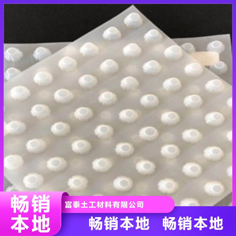 排水板无纺布厂家细节之处更加用心