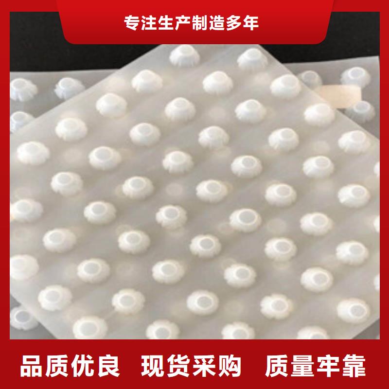 排水板,排水板厂家库存丰富