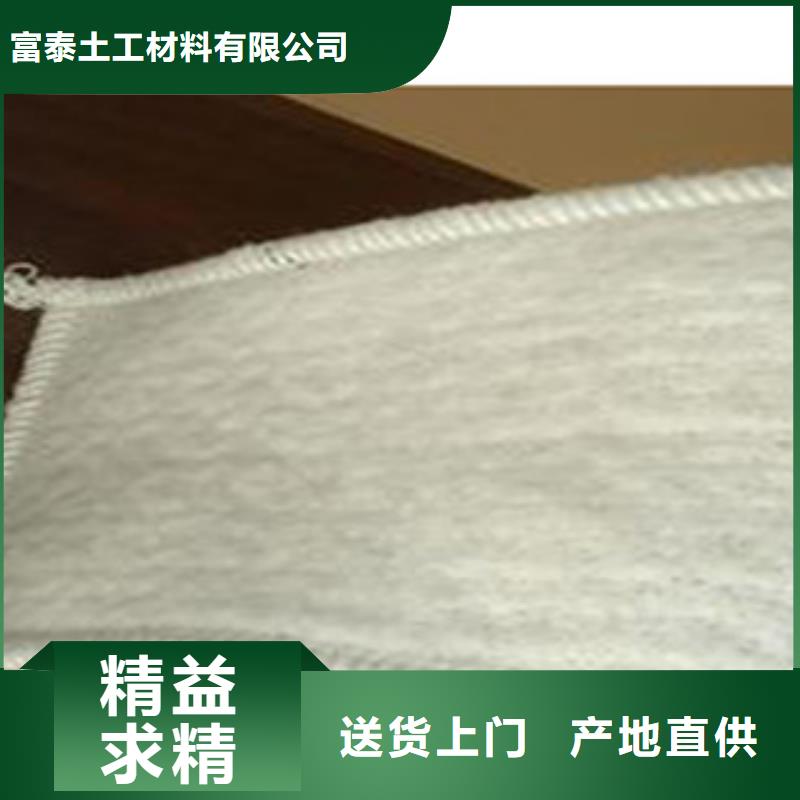 防水毯土工布厂家现货充裕