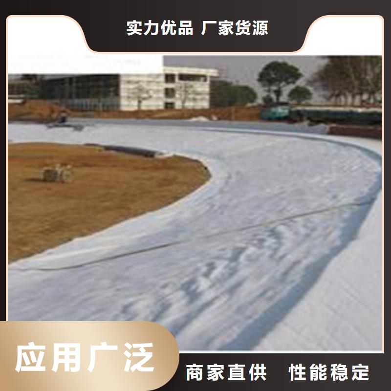 防水毯_土工膜厂家实力公司