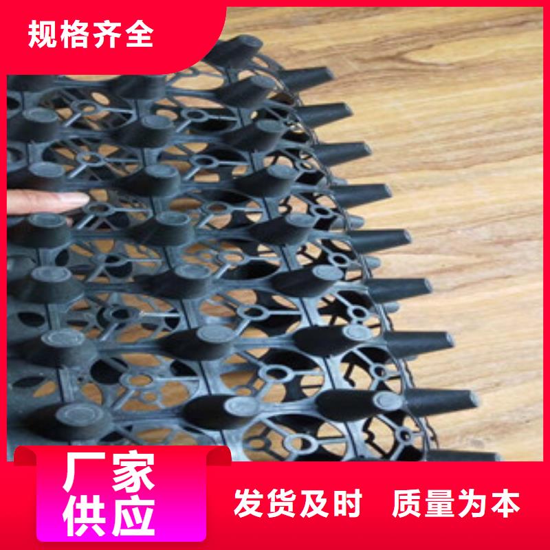 蓄排水板-土工膜厂家厂家自营