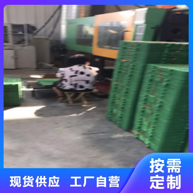 【蓄排水板】-土工膜厂家货源充足