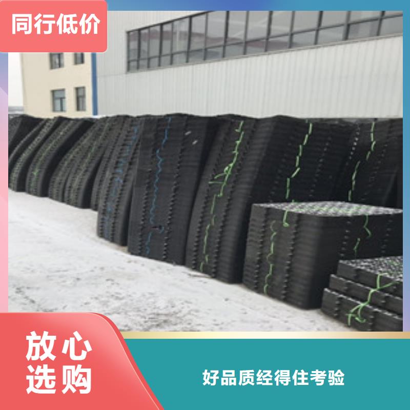 【蓄排水板】-土工膜厂家货源充足