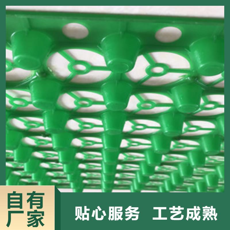蓄排水板-土工膜厂家厂家自营