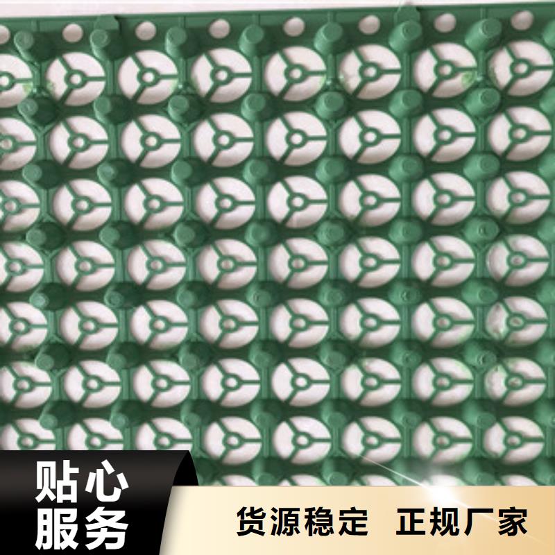 蓄排水板-土工膜厂家厂家自营