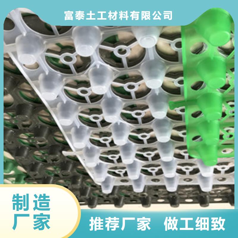 【蓄排水板】-土工膜厂家货源充足