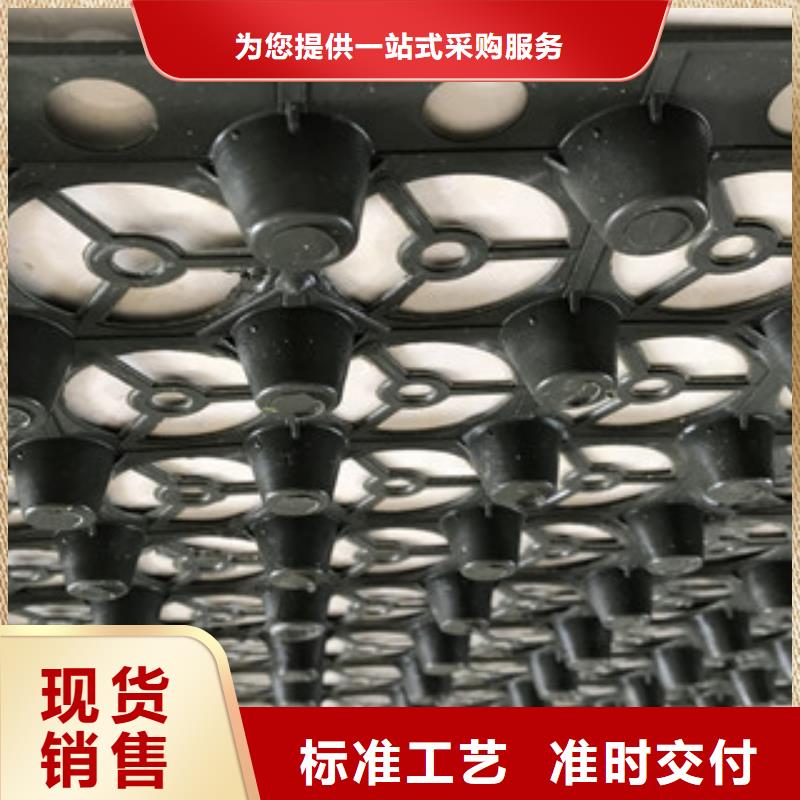 【蓄排水板】-土工膜厂家货源充足