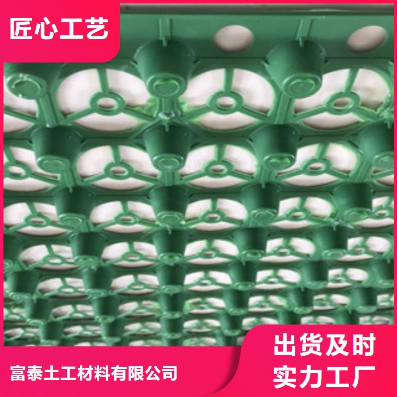 【蓄排水板】-土工膜厂家货源充足