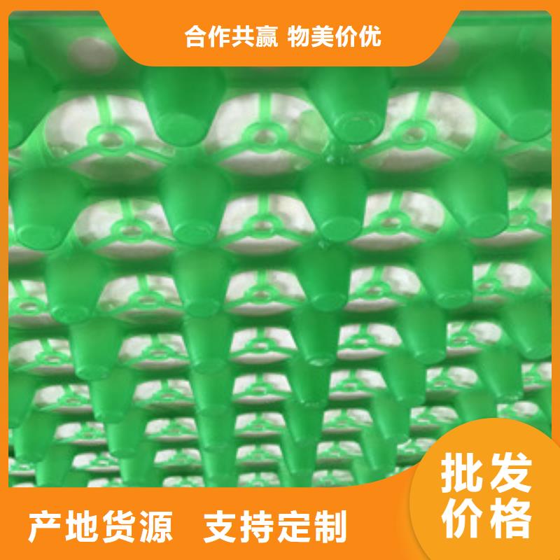【蓄排水板】-土工膜厂家货源充足