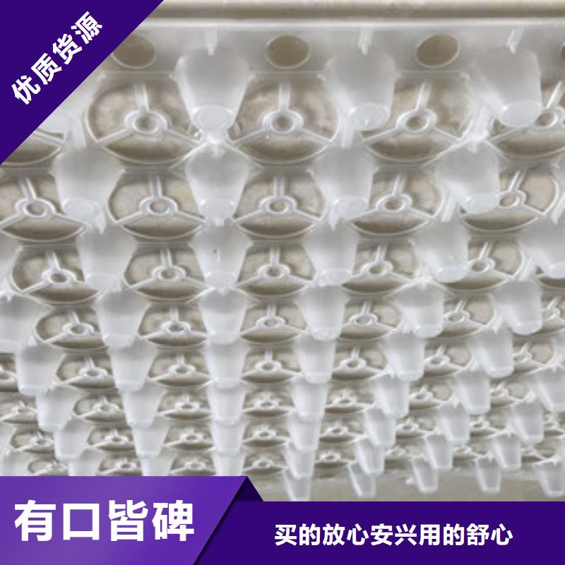 【蓄排水板】-土工膜厂家货源充足