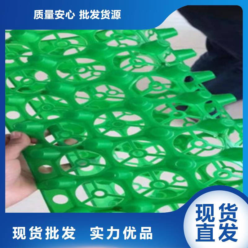【蓄排水板】-土工膜厂家货源充足