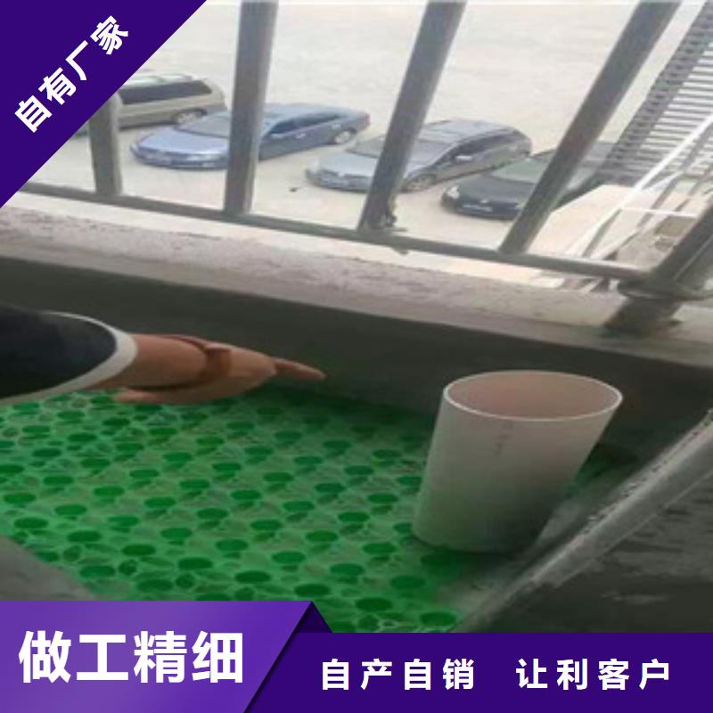 【蓄排水板】-土工膜厂家货源充足