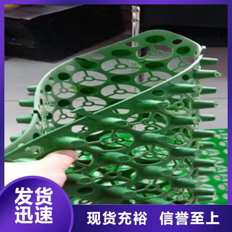 蓄排水板-土工膜厂家厂家自营