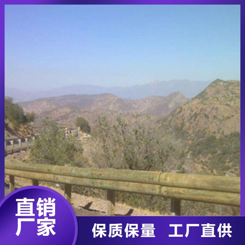 钢背木护栏灯光护栏经销商