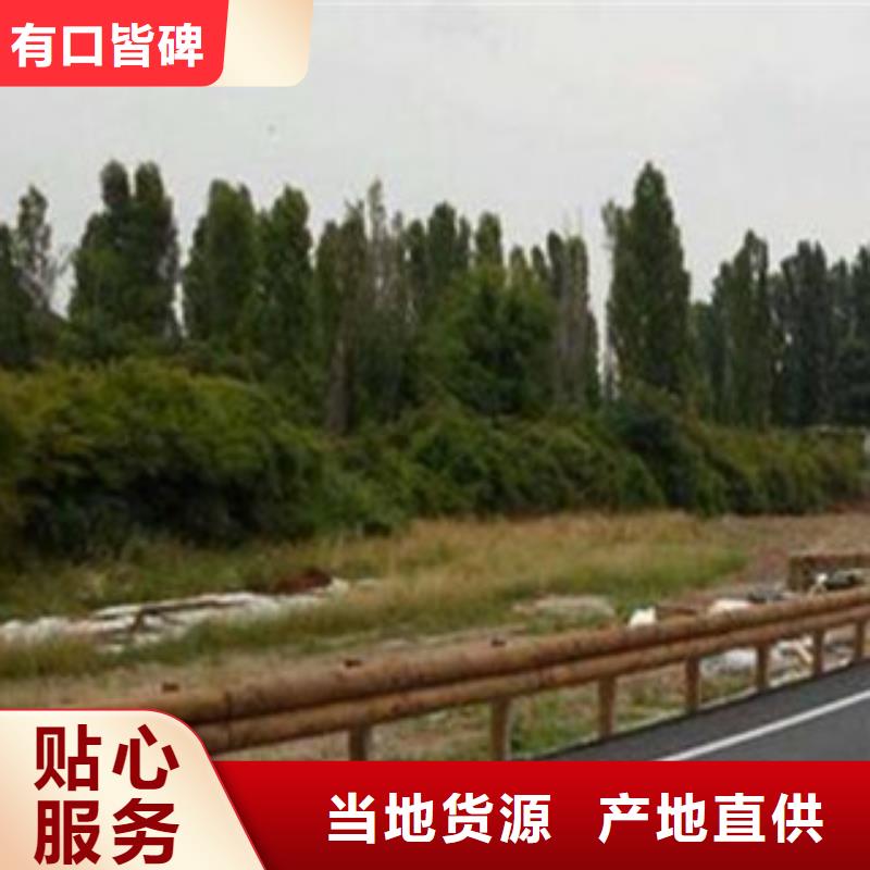 钢背木护栏桥梁护栏欢迎来厂考察