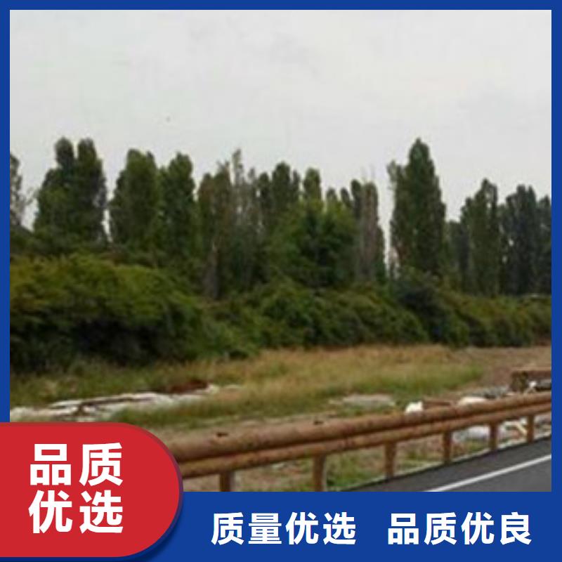 钢背木护栏,不锈钢桥梁护栏原料层层筛选
