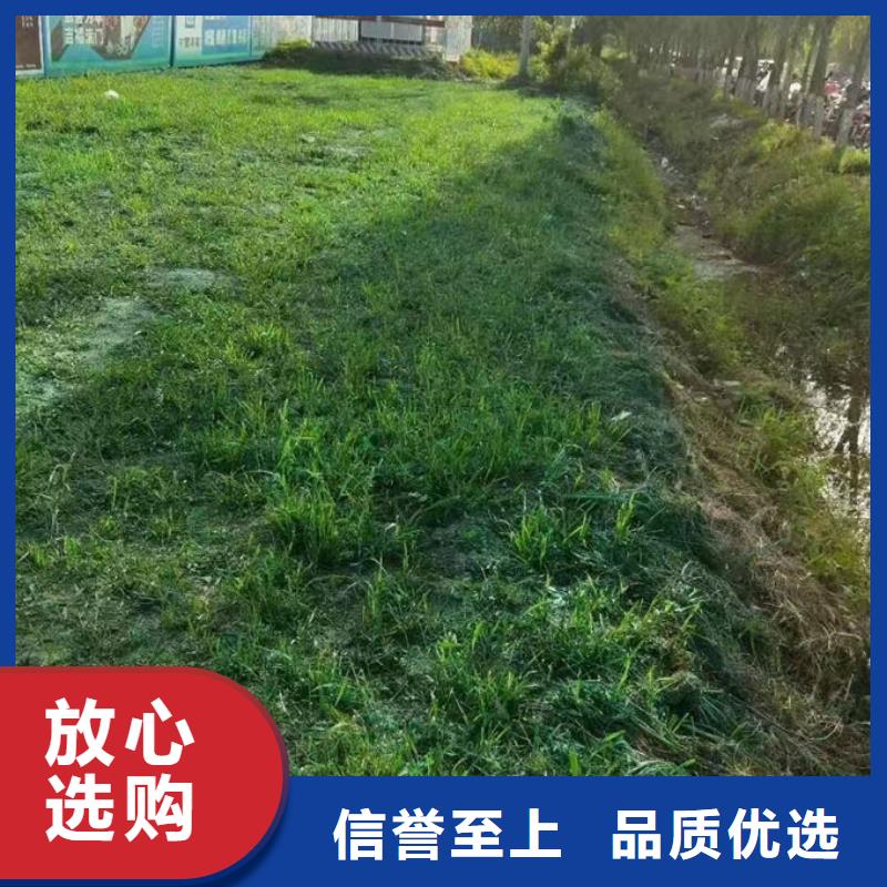 抑尘剂色素量大从优