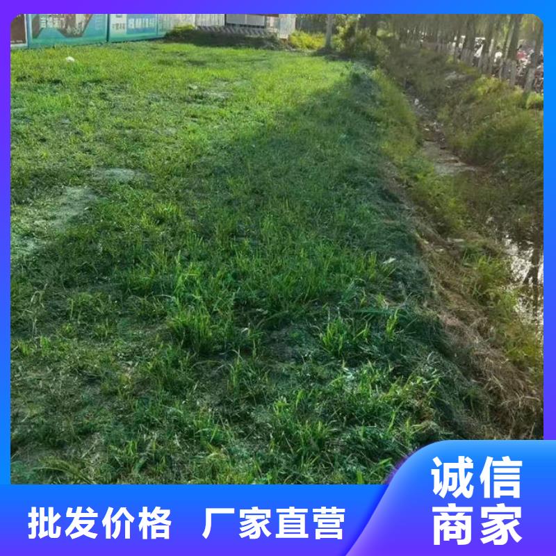 抑尘剂色素诚信为本
